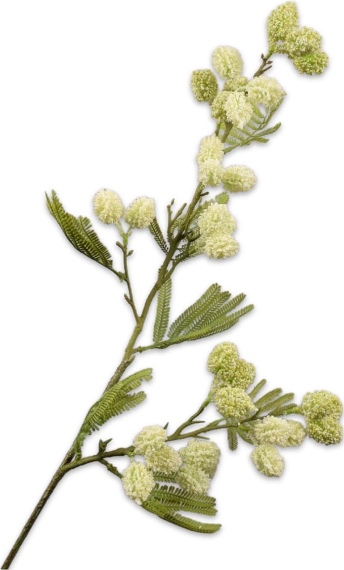 Silk-ka Kunstbloem-Zijden Bloem Mimosa Tak Crème 83 cm