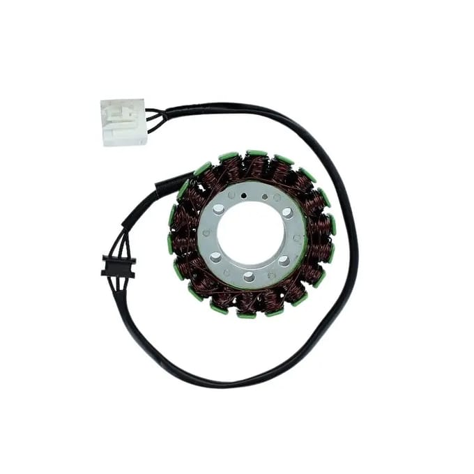 Originele aanpasbare motor dynamo Electrosport Kawasaki