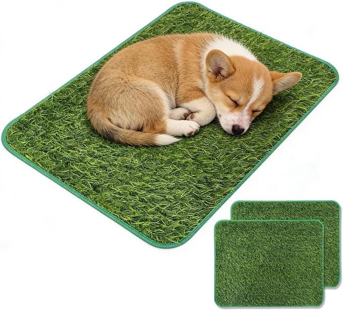 Hondentoilet kunstgras - Zindelijkheidstraining hond - Geurafstotend - Honden opvoeding