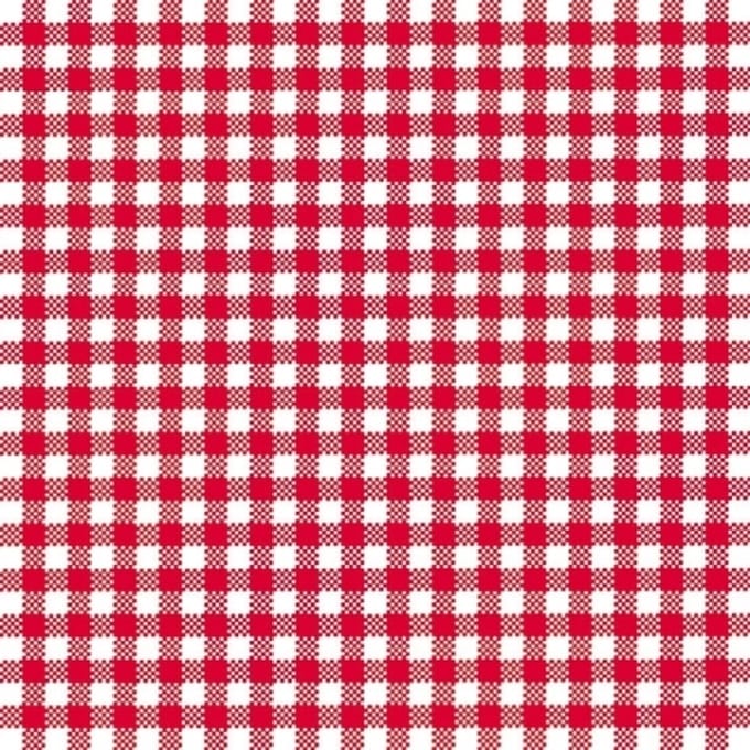 Oktoberfest Servetten - geruit rood/wit - 3-laags - 20x stuks - papier