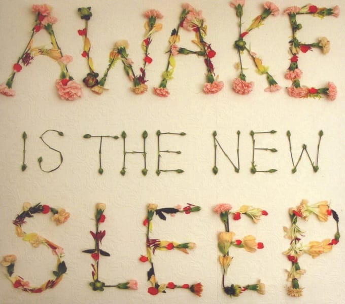 Awake Is The New Sleep - Ben Lee