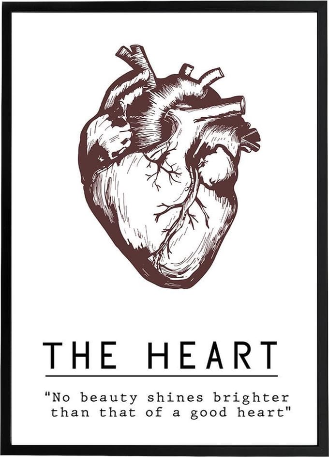 Poster 'The Heart'' - Anatomie Hart - Bordeaux Rood - Valentijn - Liefde - Large 70x50