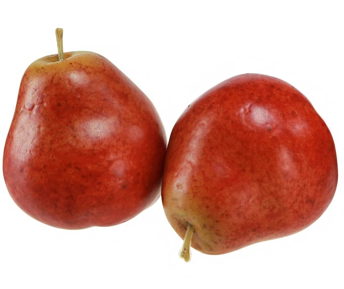 Decoratieve rode peren, Ø5,5cm, H6,5cm, 12 stuks, decoratief fruit, 12
