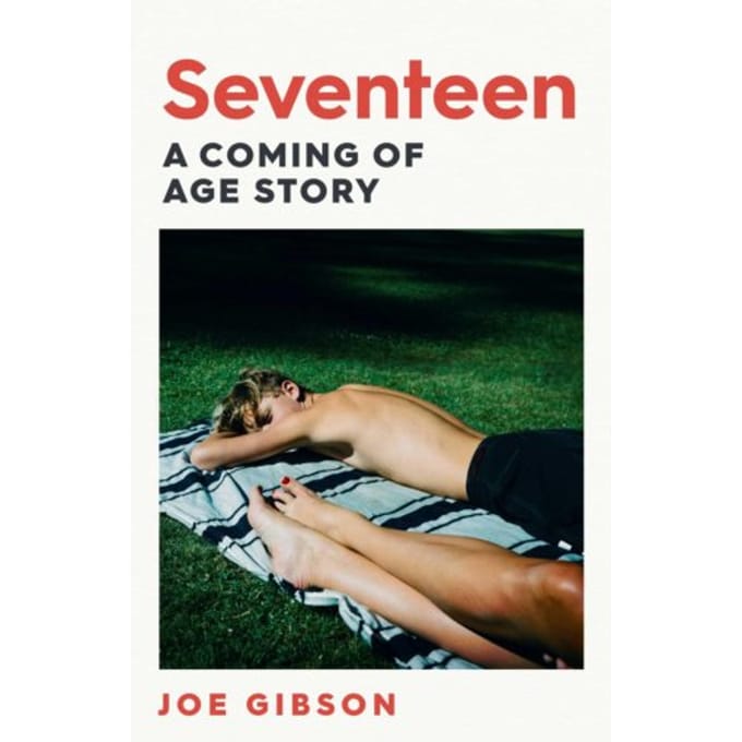 Seventeen - Joe Gibson