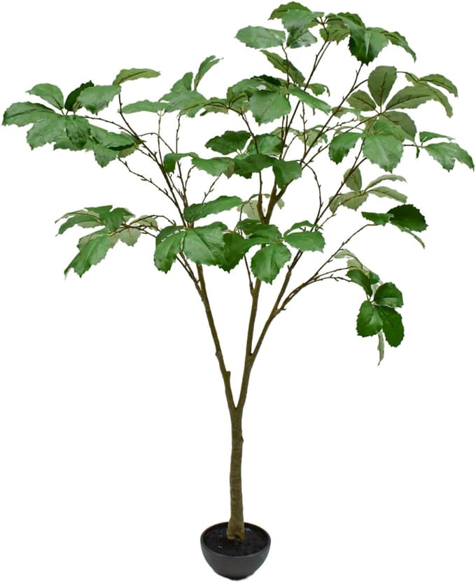 Silk-ka Kunstplant voor Binnen Groen 205 cm