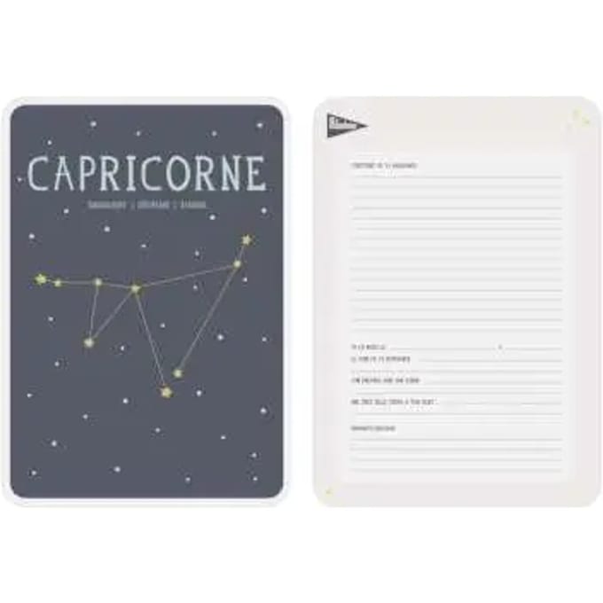 Zodiacus poster Steenbok EFK France