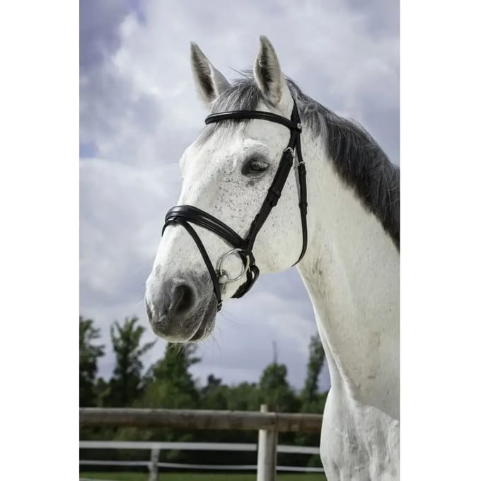Hoofdstellen Norton Pro Soft