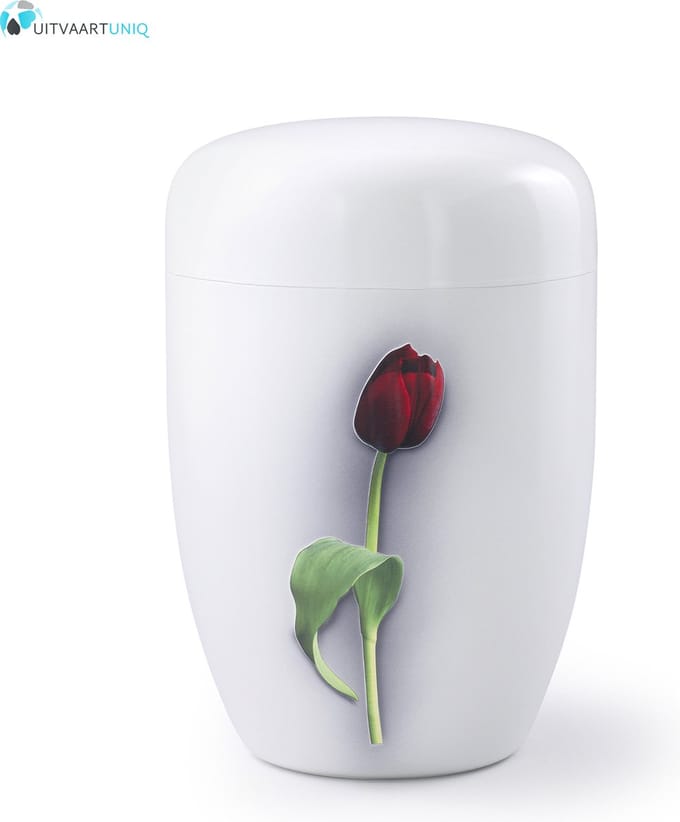 Urn Rode tulp wit - staal