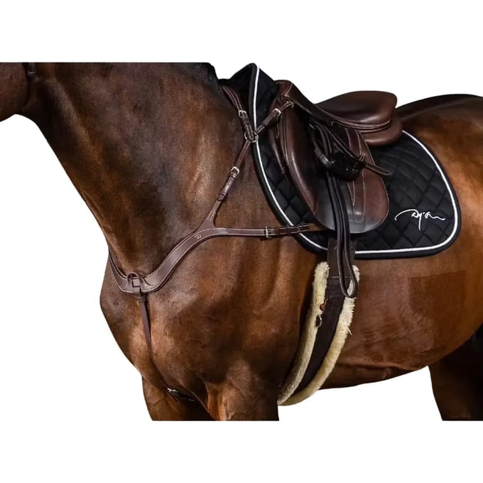 Anatomische jachthalsband voor paarden Dy'on