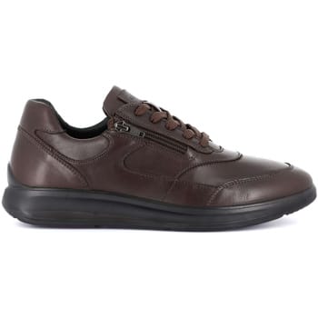 Sneakers Grunland -
