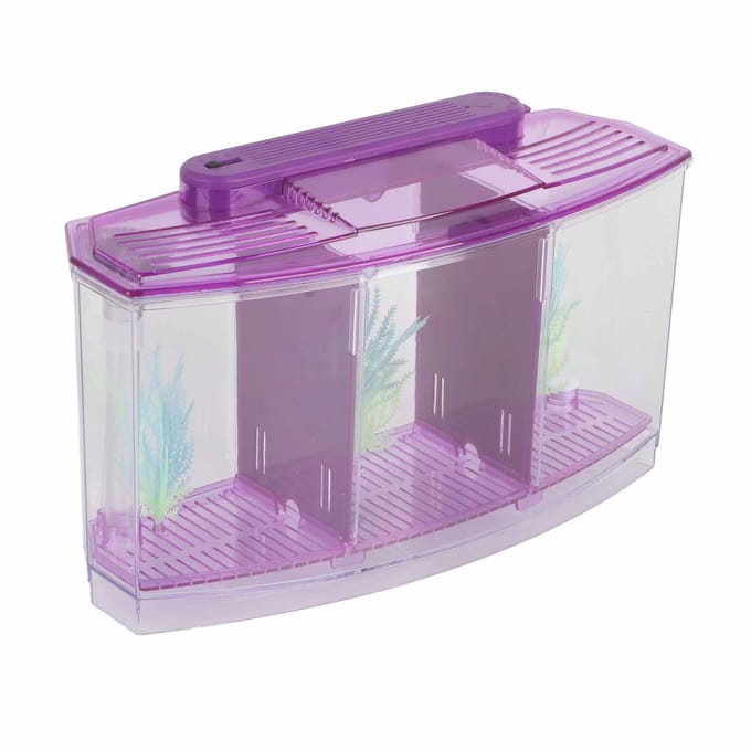 Aquarium LED en acrylique à trois compartiments pour petits poissons(violet) white