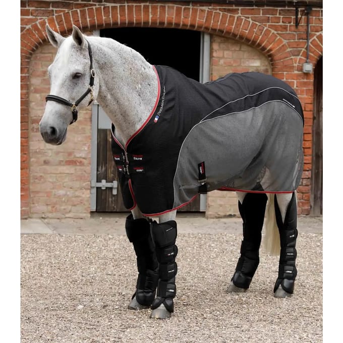 Transportlaarzen voor paarden Premier Equine Ballistic Pro-Tech