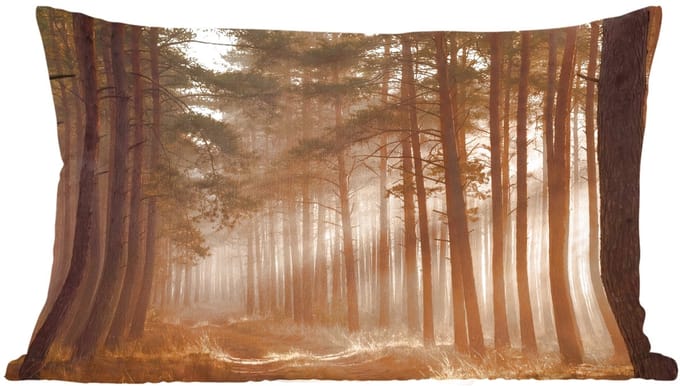 Sierkussens - Kussentjes Woonkamer - 60x40 cm - Bos - Mist - Zonlicht