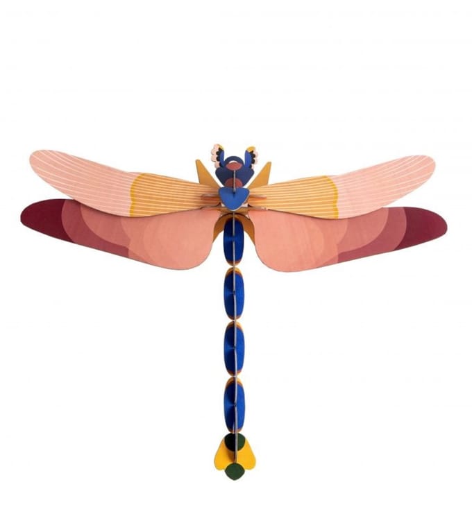 Limited Edition - Giant Dragonfly