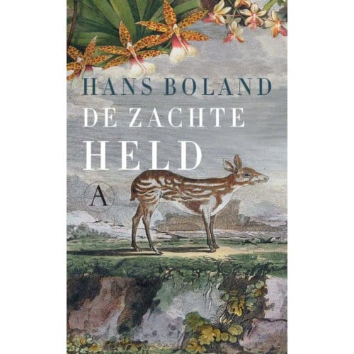 De Zachte Held - Hans Boland