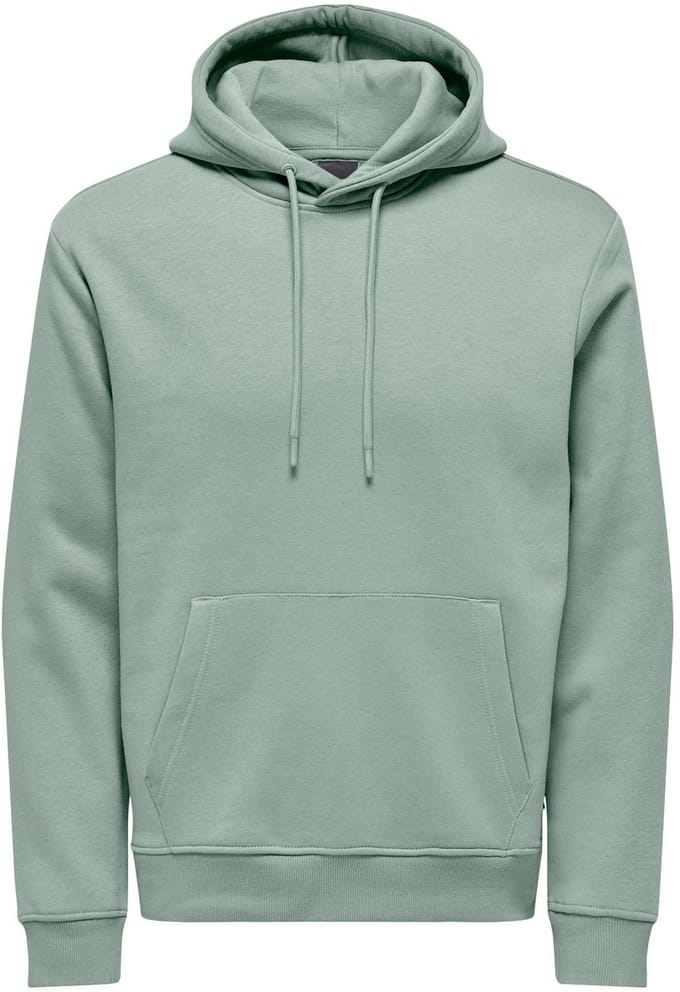 ONLY&SONS - ONSCONNOR LIFE REG SWEAT HOODIE NOOS - Heren - Sweaters