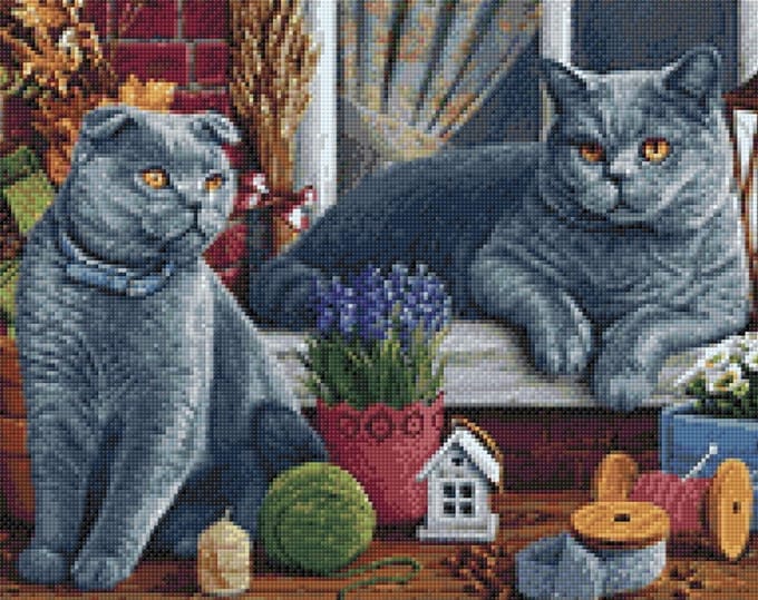Diamond Painting Britse Korthaar Katten WD2483