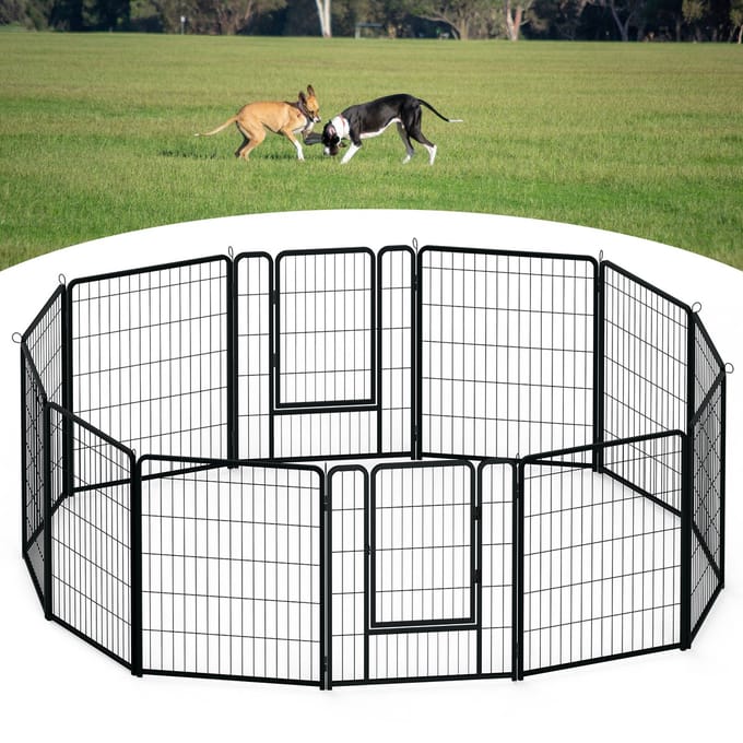 ACXIN Hondenren - Inklapbaar - Met deur - 65×80 cm - 12 panelen - Binnen - Buiten
