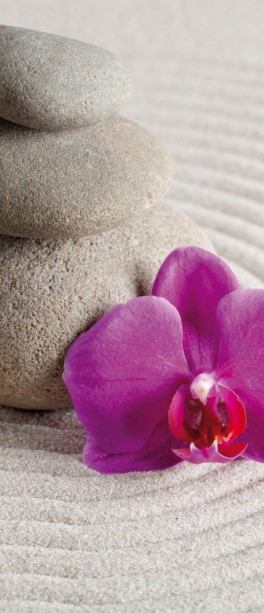 Zen Garden Flower Photo Wallcovering