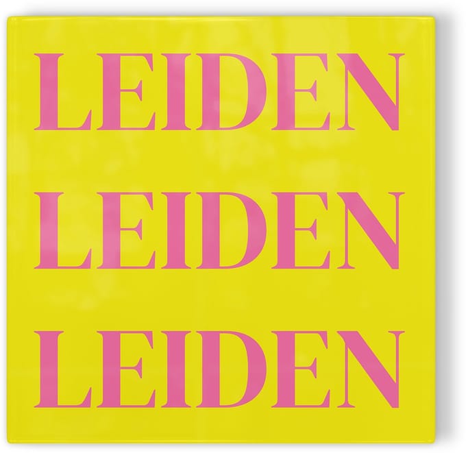 Tegeltje Leiden - geel roze - tegeltje stad - tegeltje met tekst