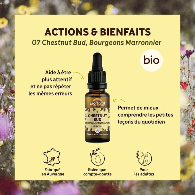 Biofloral- 07 - Chestnut Bud - Knop van de paardenkastanje - Bio - Bio Demeter - 20 ml