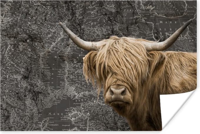 Poster - Schotse hooglander - Wereldkaart - Koe - 120x80 cm