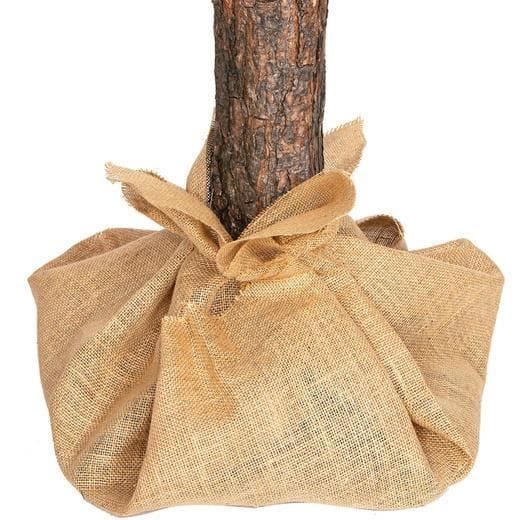 Kunstkerstboom - VIKING CHOICE - 220 cm - Groen - Binnen - 11 kg groen