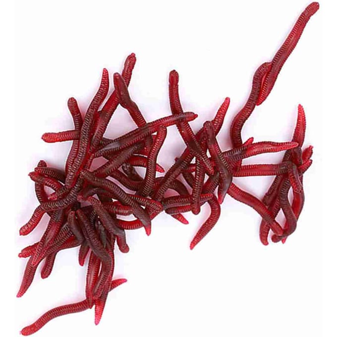 Vislokmiddel 4cm Zachte insecten Valse regenworm Zee-aas Bloedworm Lokmiddel Kunstaas 100 stuks 100pcs