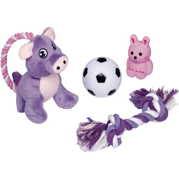 Knuffels voor honden Nobby Pet Starter (x4)