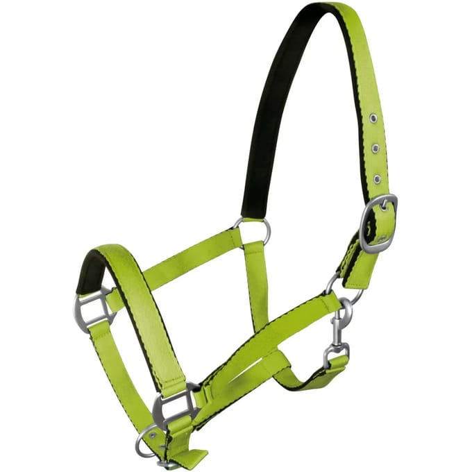 Halster voor paarden York