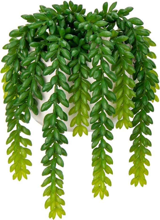 Vervalsel succulent plant - kunstplant - home office decoratie