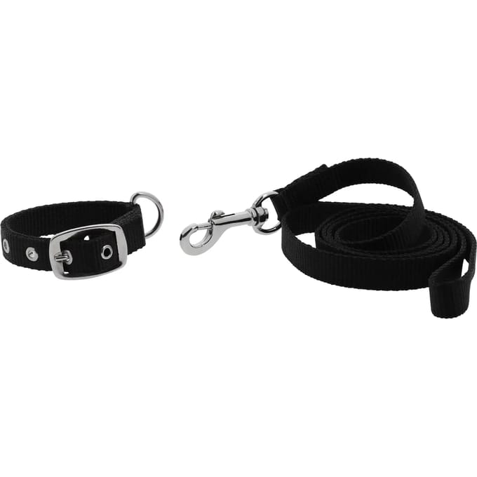 Halsband en lijn voor hond Riding World Oscar
