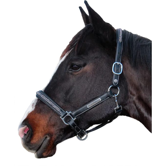 Halster voor paarden Flags&Cup Aachen