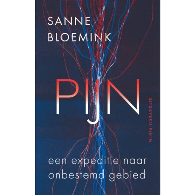 Pijn. Expeditie Naar Onbestemd Gebied - Sanne Bloemink