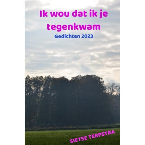 Ik Wou Dat Ik Je Tegenkwam - Sietse Terpstra