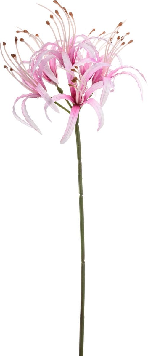 Emerald - Kunstbloem Nerine 63cm lichtroze - Kunstplant voor binnen