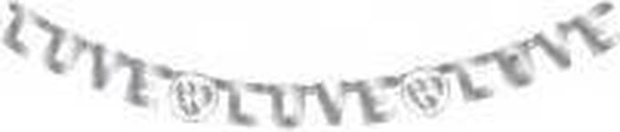 Letterslinger Love Zilver