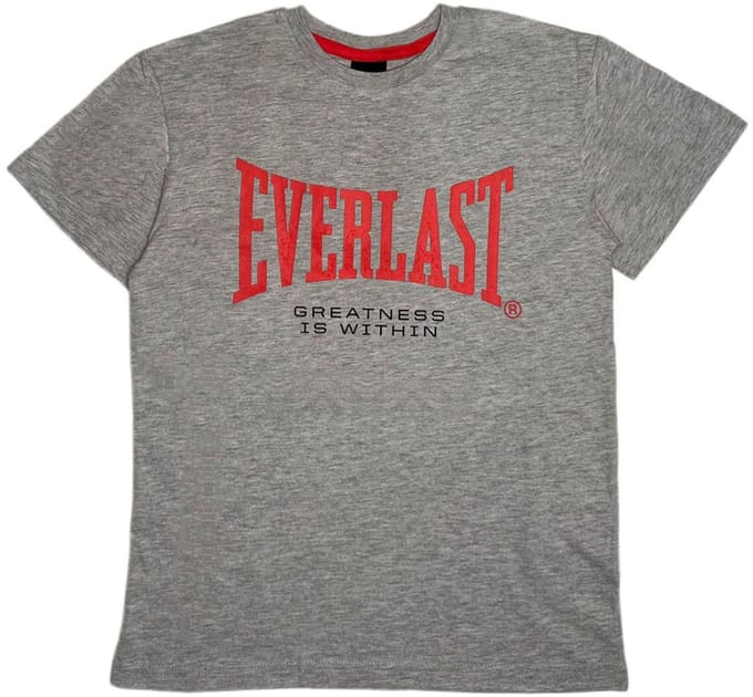 Everlast T-shirt Met Korte Mouwen Grijs 8 Years Jongen