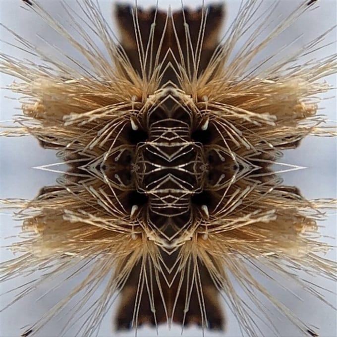 Sutra