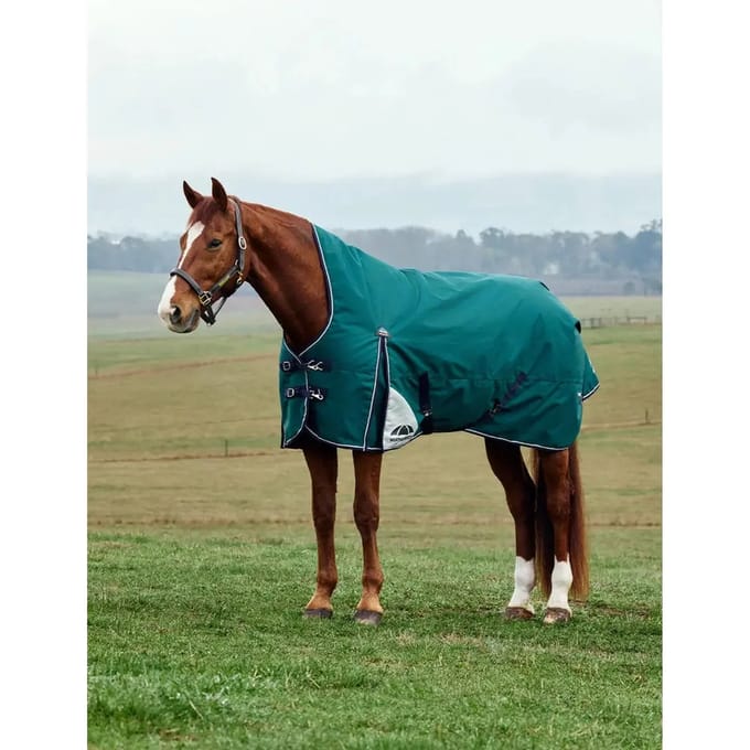 Hoge kraag paardendeken Weatherbeeta Comfitec Plus Dynamic 220g