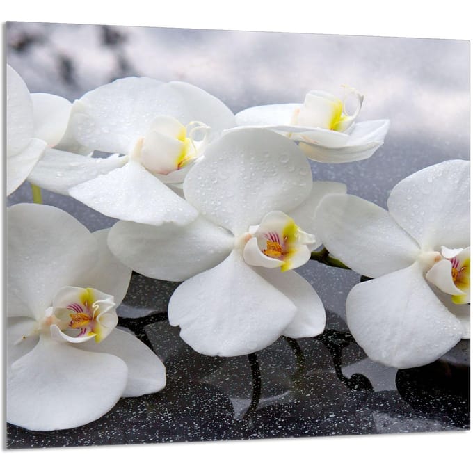 TMK ArtDeko Serie - Panel Glas Snijplank - 65x60 cm - Orchidea - Veelzijdige Toepassingen