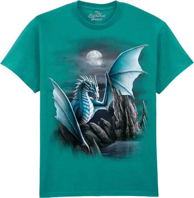 Draak Cameron Dragon The Coloured House T-shirt M