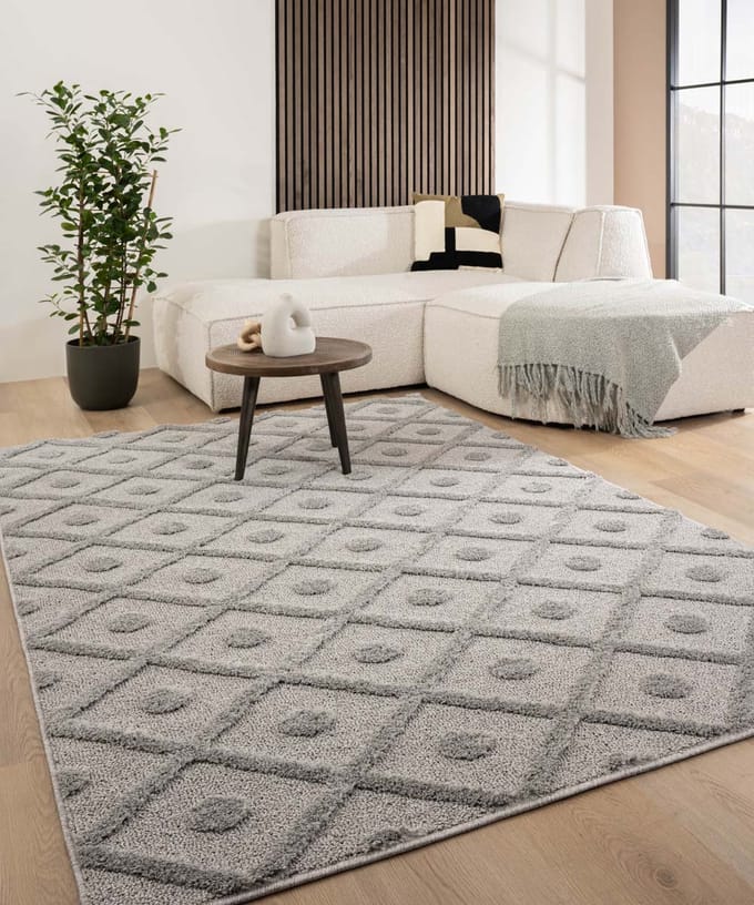Scandinavisch vloerkleed - Arc Diamond lichtgrijs 100x200