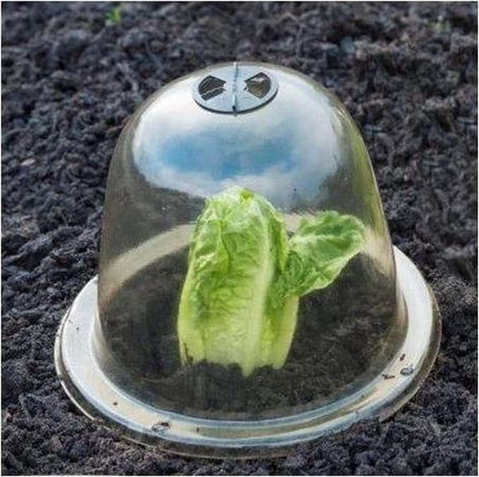 Plantenstolpen 25 cm + grondpennen 3 stuks