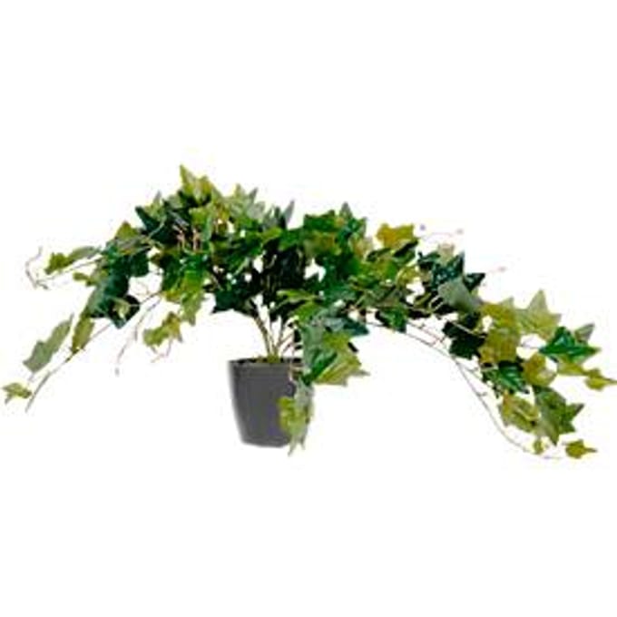 PAPERFLOW kunstplant - klimopstruik, hoogte 800 mm