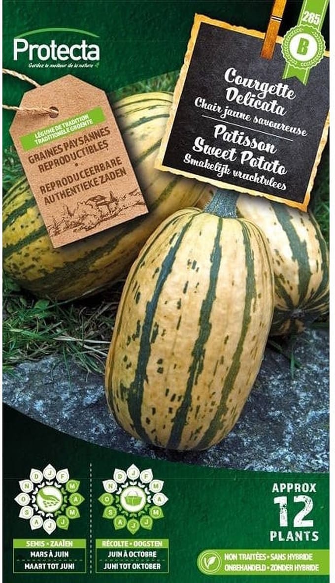 Protecta Groente zaden: Patisson Sweet Potato