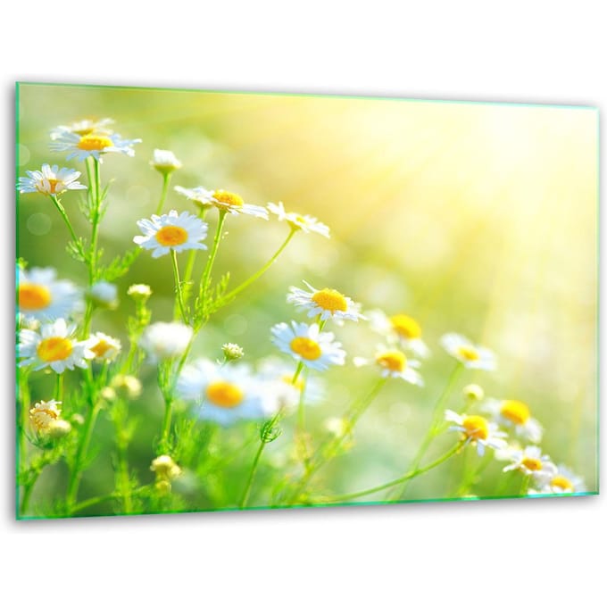 TMK ArtDeko - Snijplank - Glas - 40x30cm - Bloemen