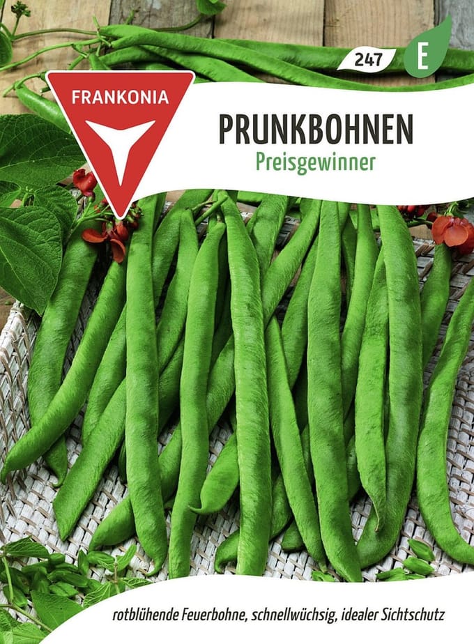 Pronkboon en snijboon, prijswinnend - bonenzaden, groentezaden, zaailingen