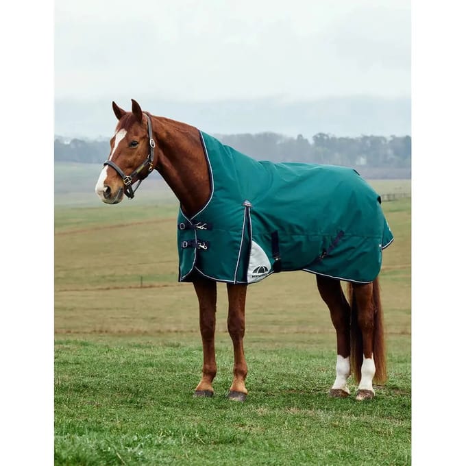 Hoge kraag paardendeken Weatherbeeta Comfitec Plus Dynamic 100g