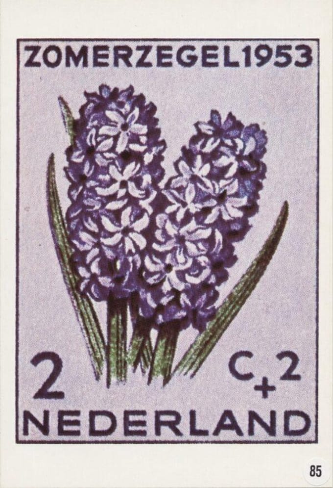 Briefkaart met afbeelding Hyacinth postzegel